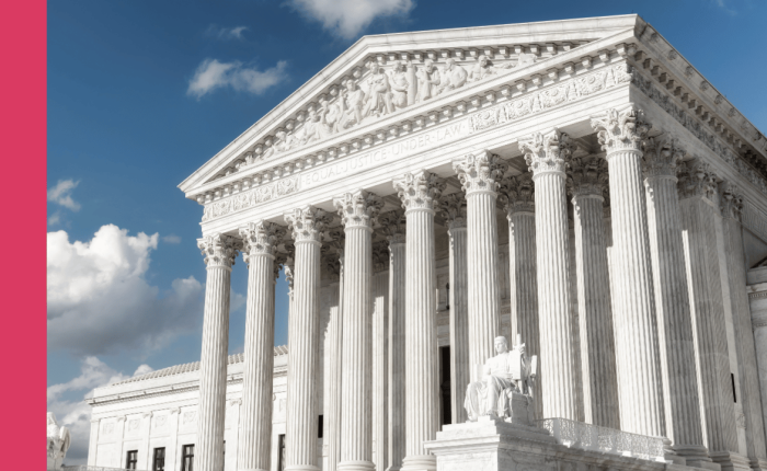 Olmstead v. L.C States Fighting back