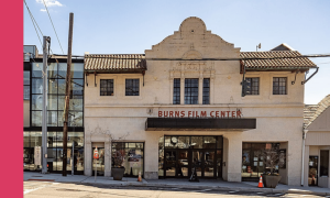 Jacob Burns Film Center  (Pleasantville)