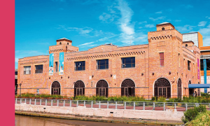 Bronx Children’s Museum  (Bronx)
