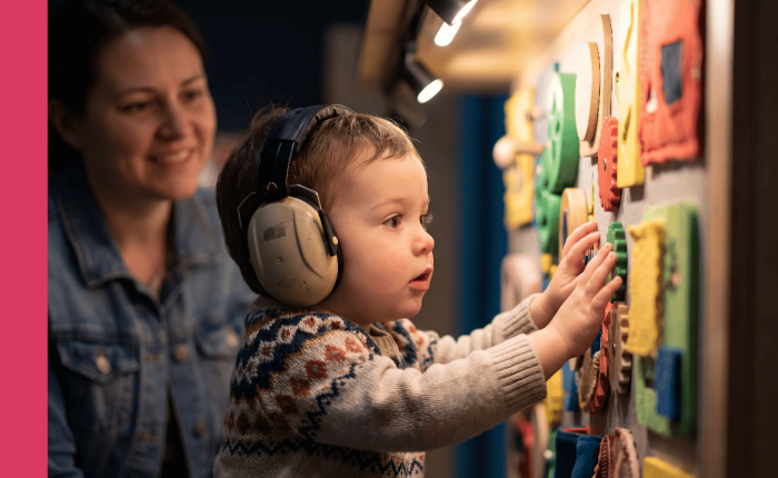 Museums Theaters And Rec Spaces That Are Sensitive To The Needs Of Individuals With Disabilities